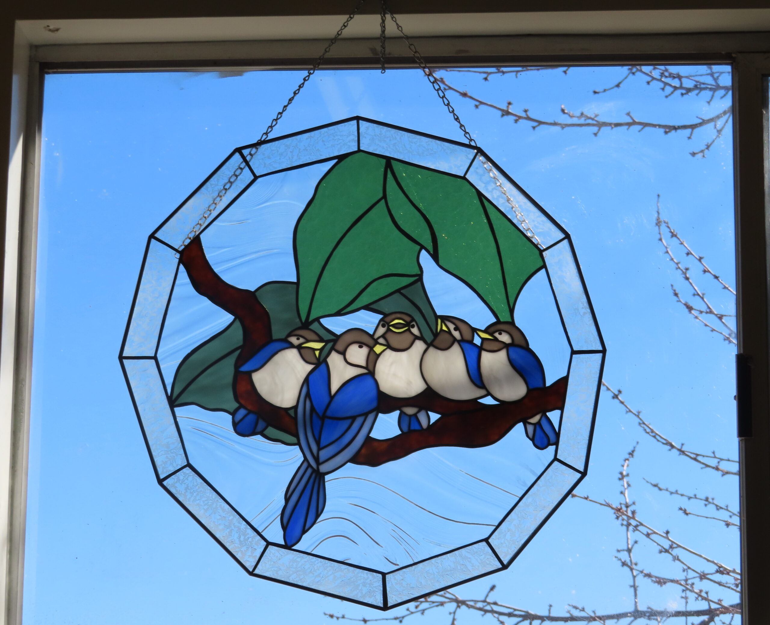 bluebird window panel